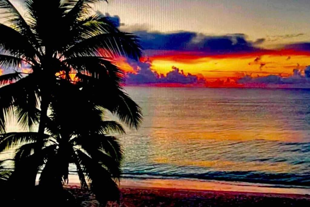 5 Star Luxury Penthouse /private Pool/cenote Pool Tulum