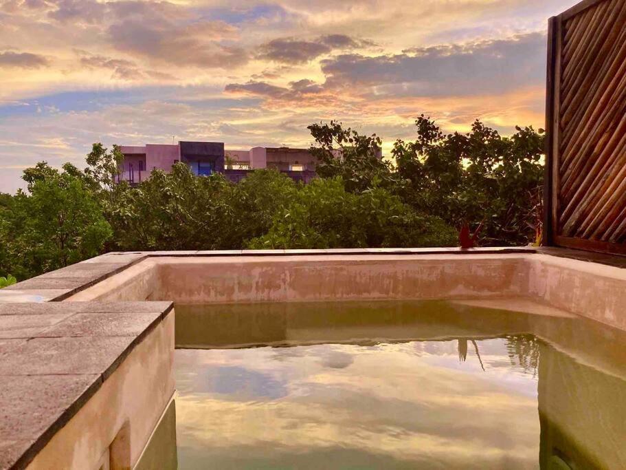 Apartment 5 Star Luxury Penthouse /private Pool/cenote Pool *