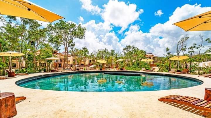 Avec Piscines Et Cenotes Naturelles * Tulum