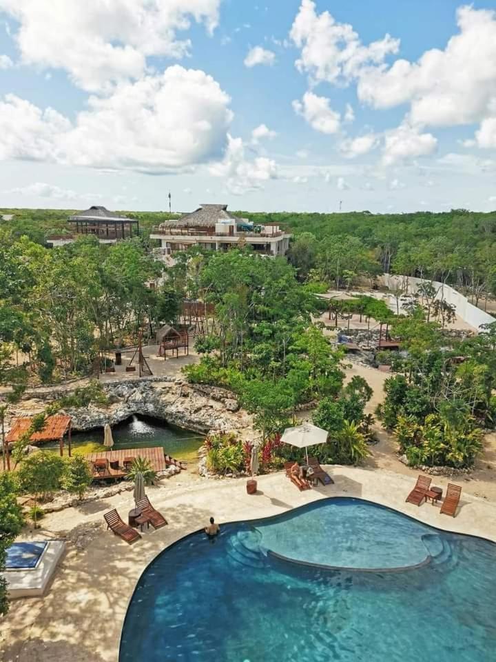 Avec Piscines Et Cenotes Naturelles Apartment *