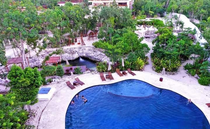 Avec Piscines Et Cenotes Naturelles Apartment