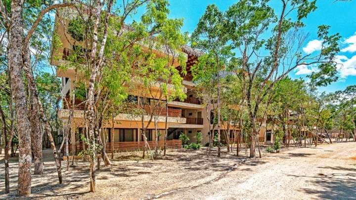 Apartment Avec Piscines Et Cenotes Naturelles *