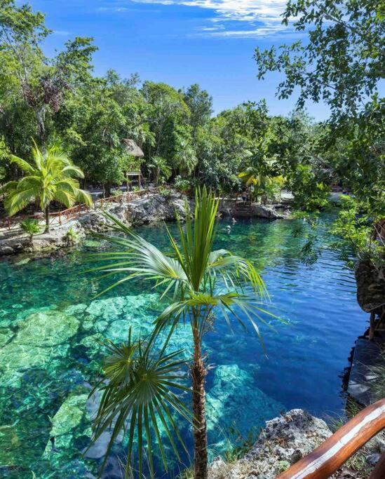 Apartment 5 Star New Luxury With Cenote And Infinity Pool Tulum