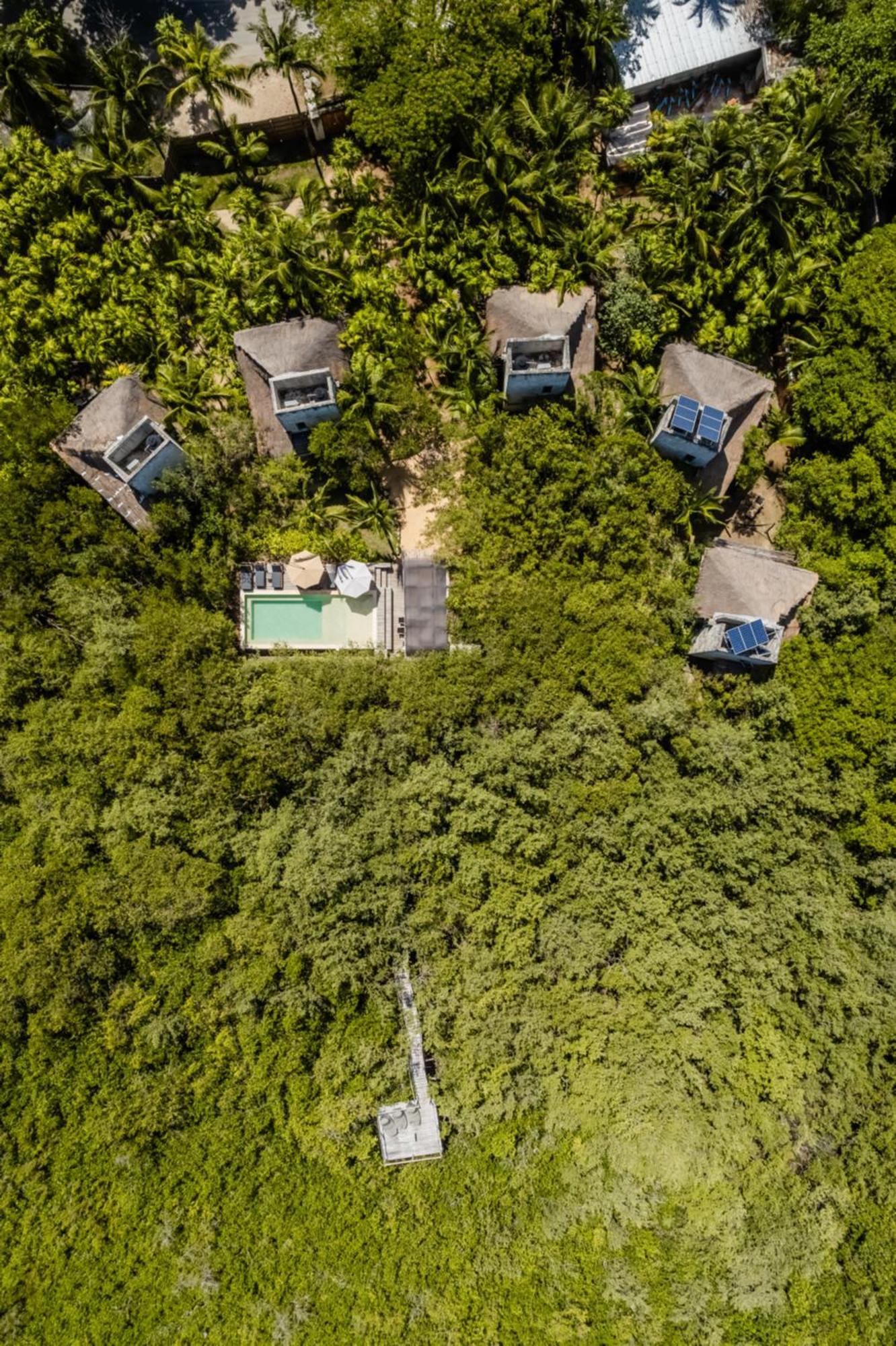 Vida Silvestre * Tulum