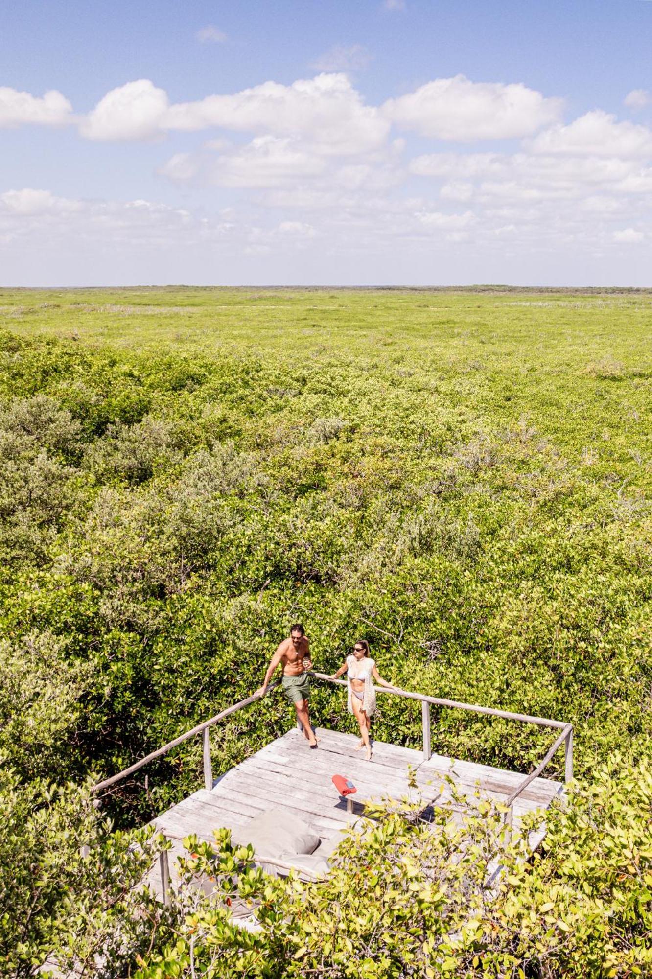 Lodge Vida Silvestre Tulum
