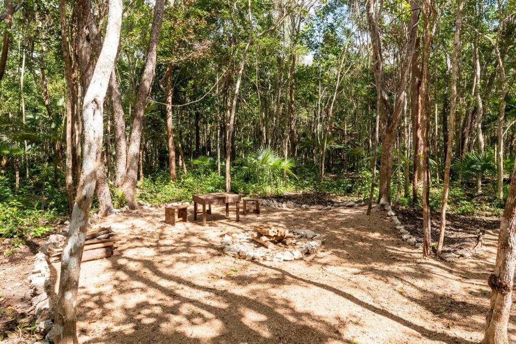Zil-kaab Hidden Glamping Village Luxury tent Tulum
