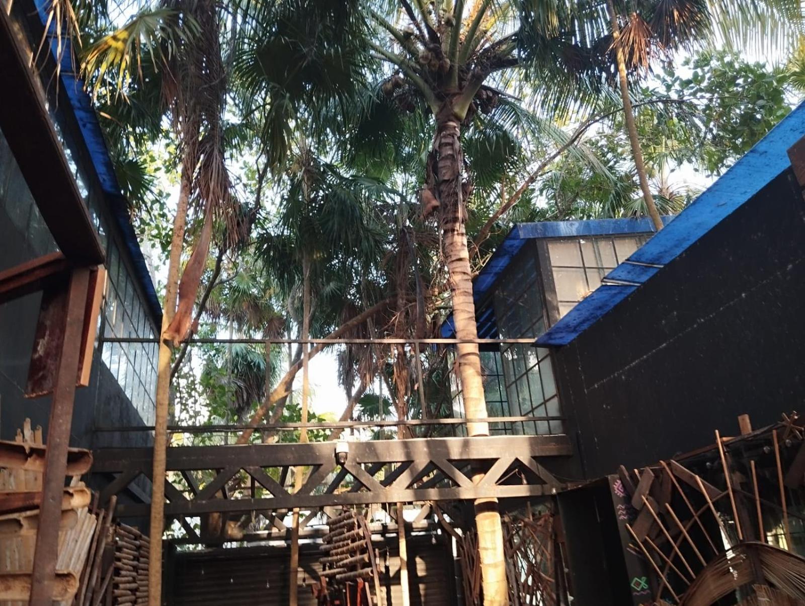 Xxxxxxx * Tulum