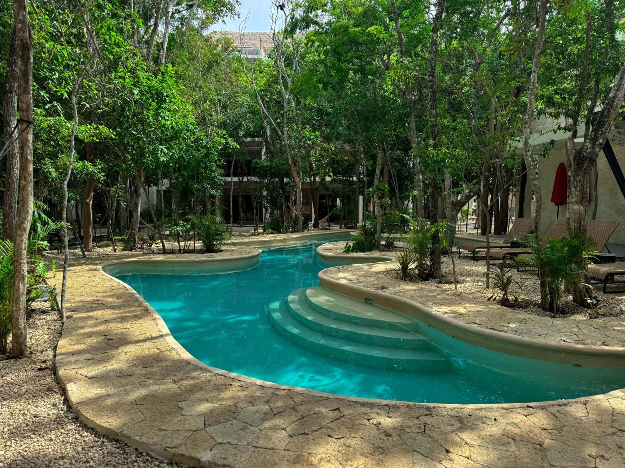 Increible Y Moderno Ph Naia C35 By Sandy Powerful *