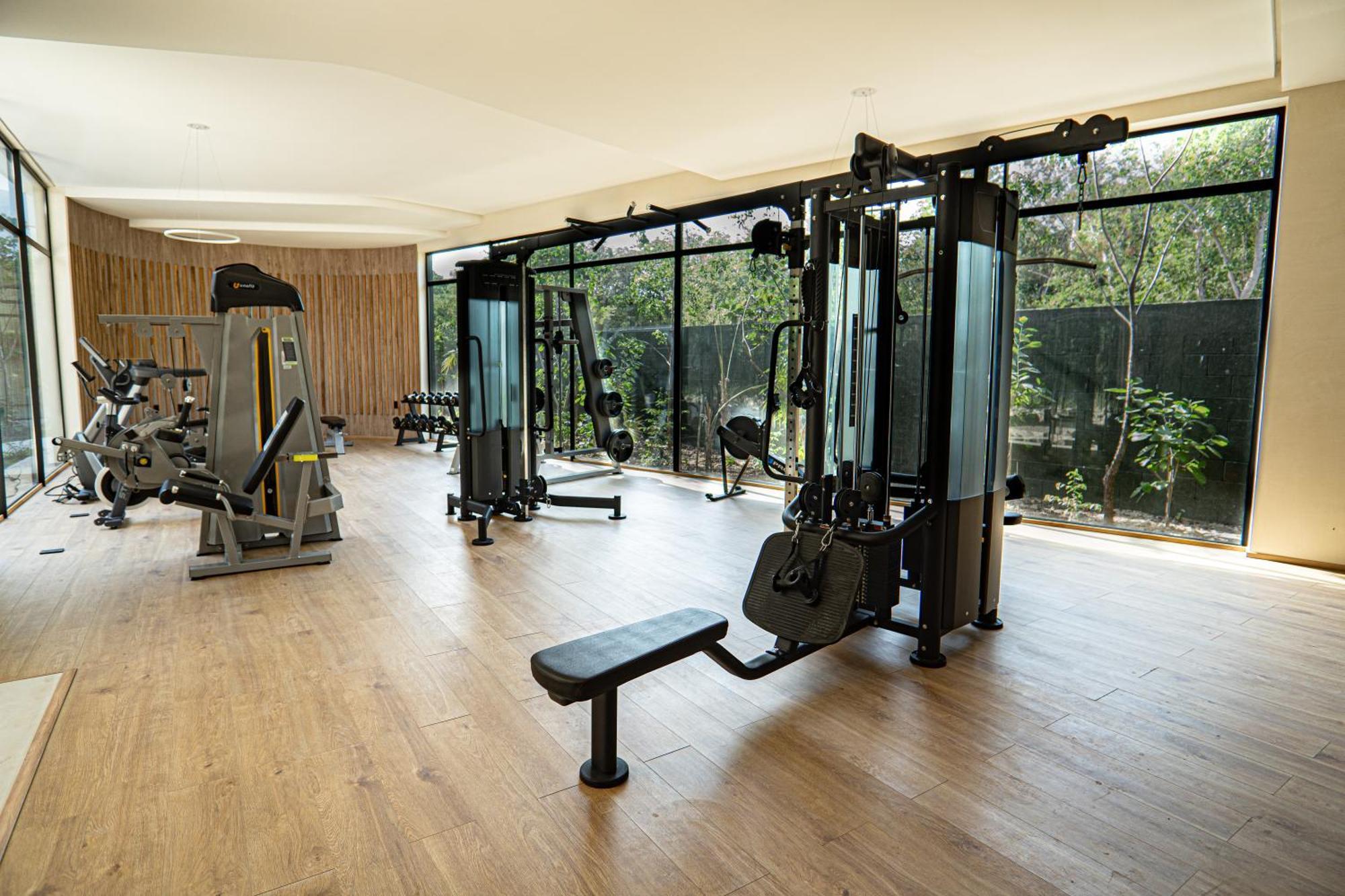 Aparment In The Zone Of *