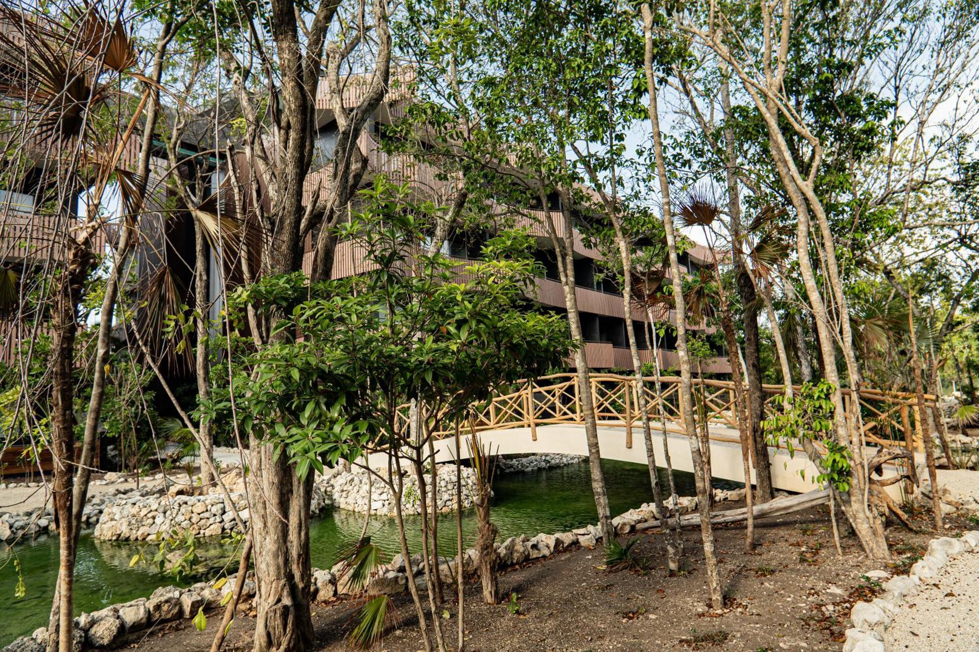 Aparment In The Zone Of *