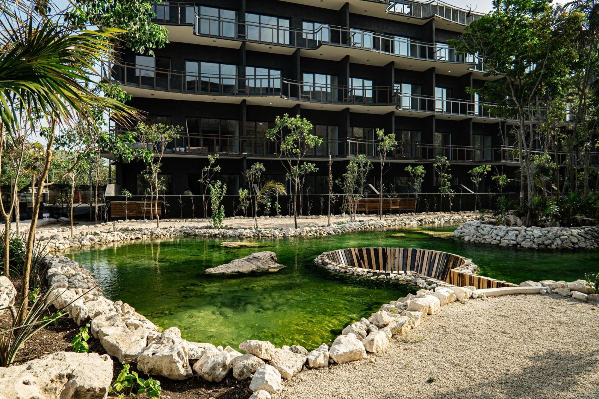 Apartment Aparment In The Zone Of *