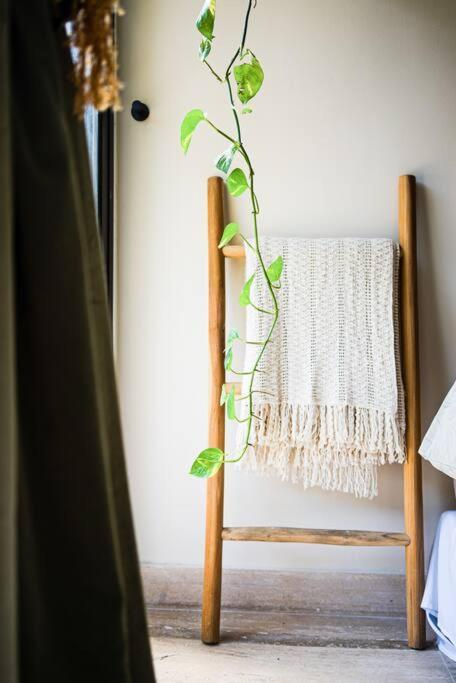 Luxury In The Exclusive Area Of Apartment Tulum