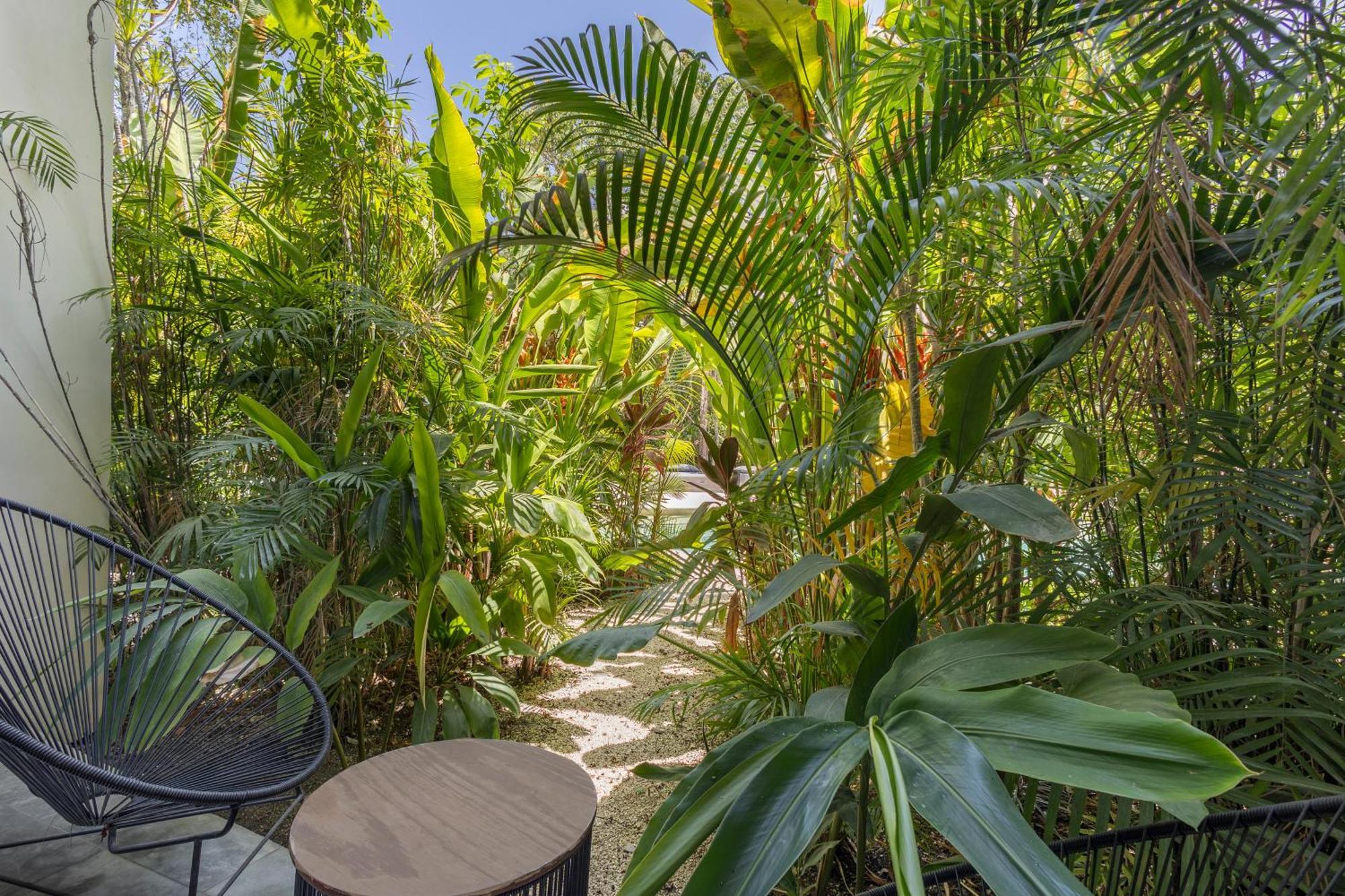 Mistiq Gardens Apartment *