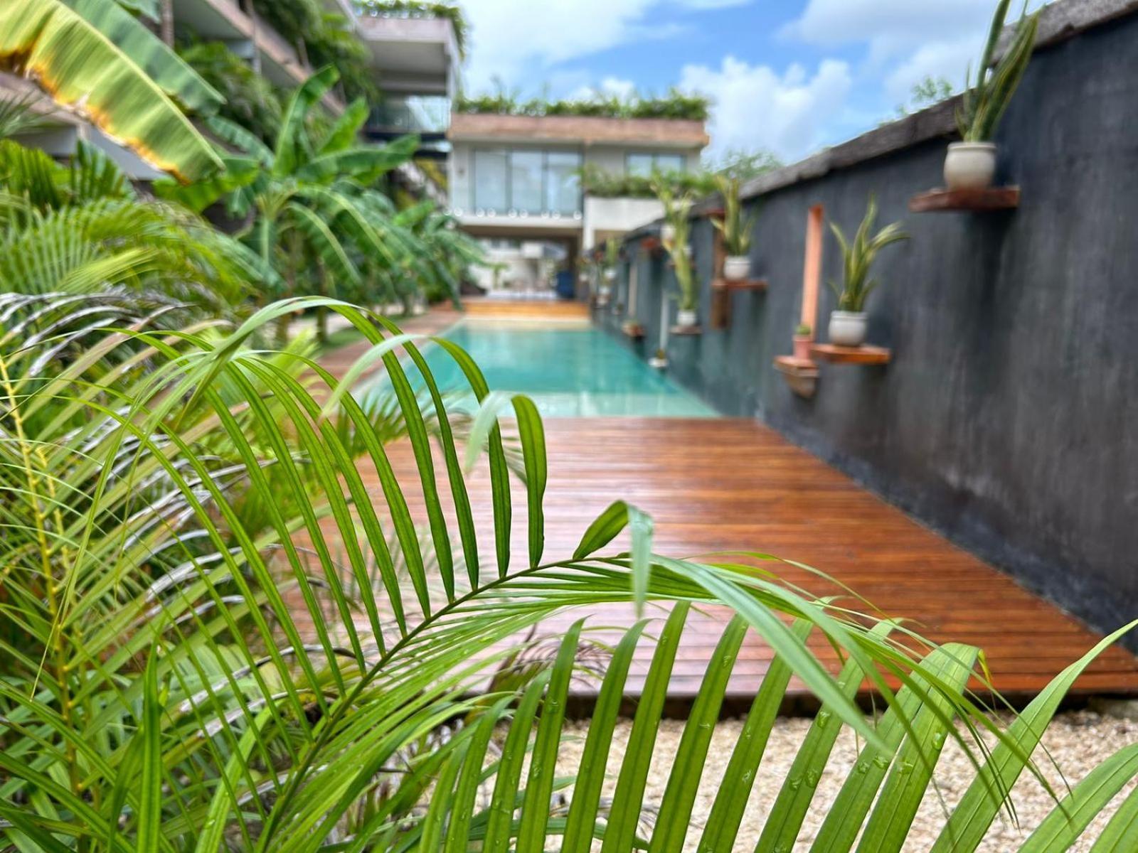 Estudio Con Jacuzzi Privado En Xamira Apartment Tulum