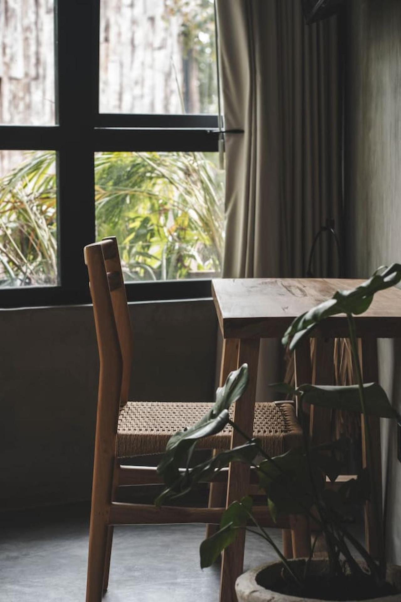Escencia Casa Oasis G21 Holiday home Tulum