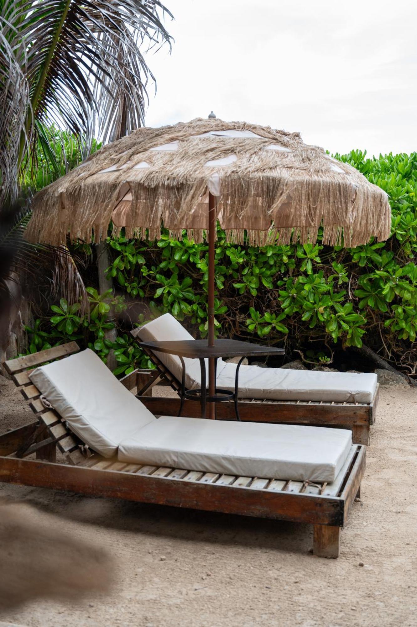 Tropicalito On The *