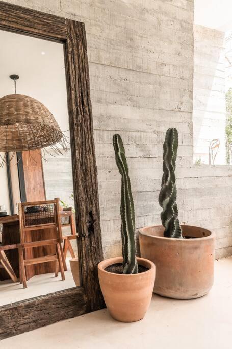 Exquisite Architectural Oasis Private Pool Apartment Tulum