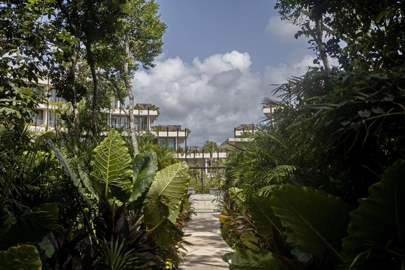 Apartment Jungle Luxury Pools, Gym &