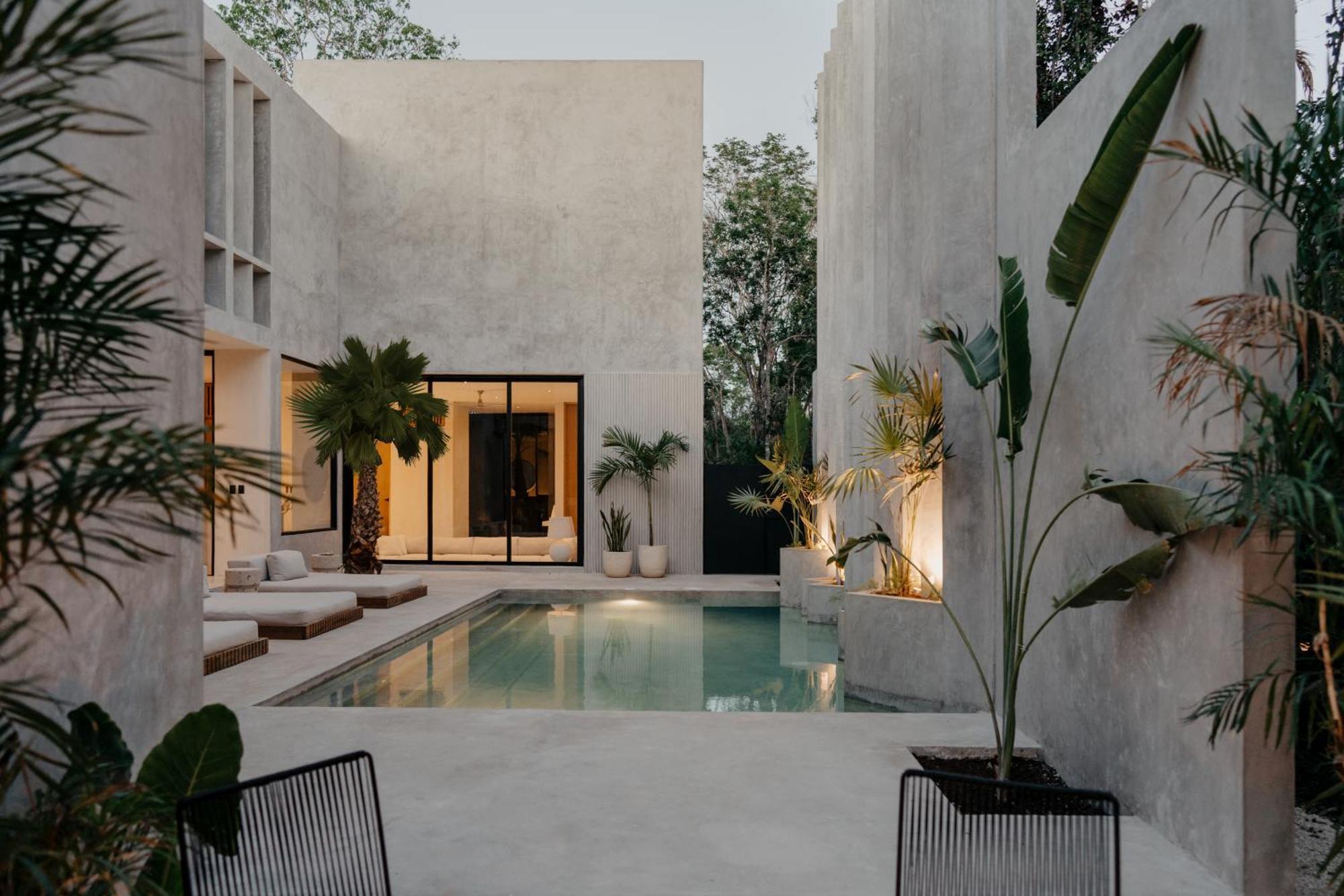 Lev - Celebrated Architectural Designer