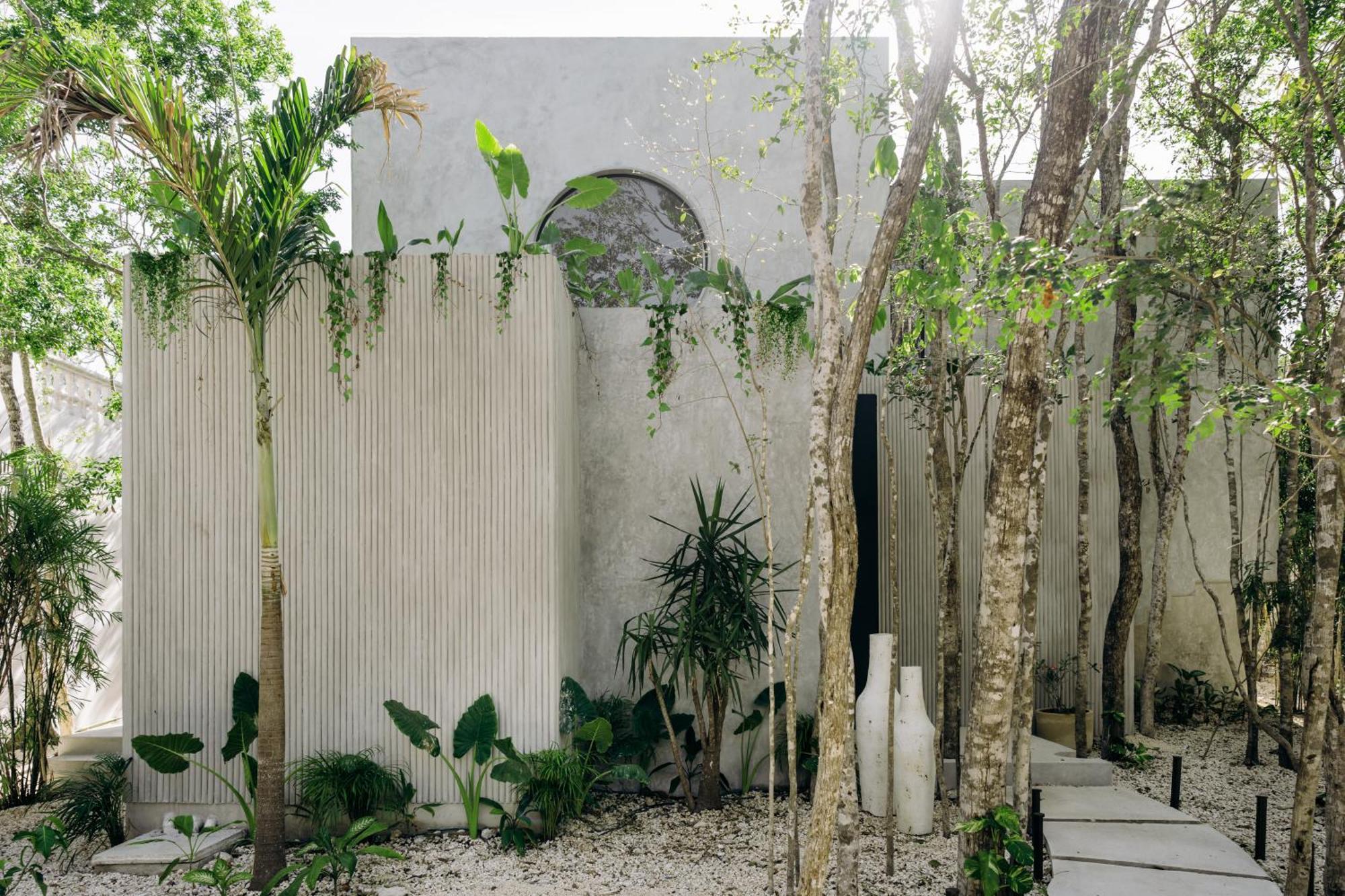 Lev - Celebrated Architectural Designer
