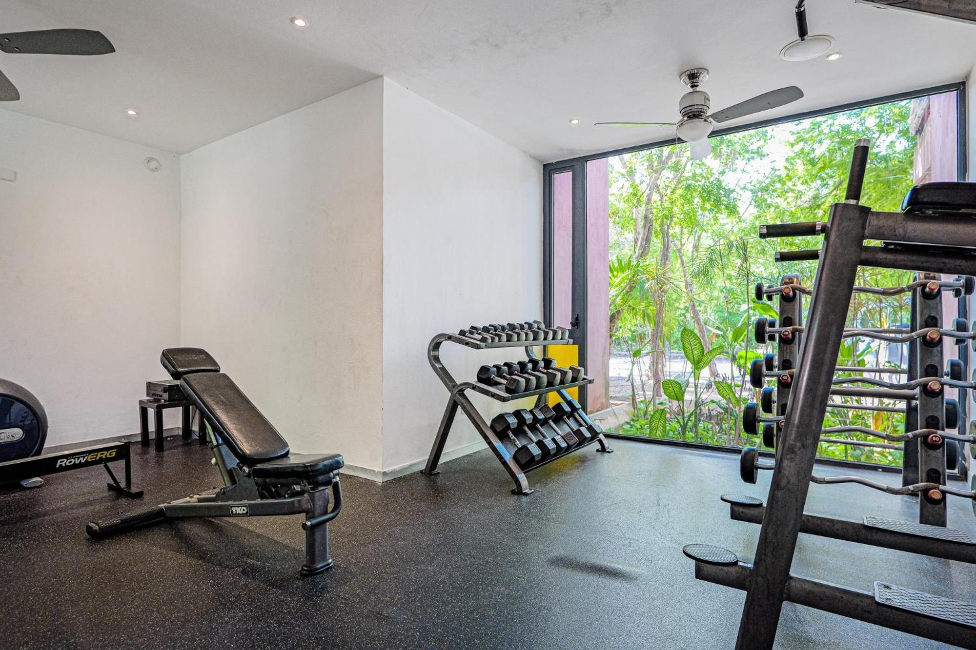 Querido 301s * Tulum