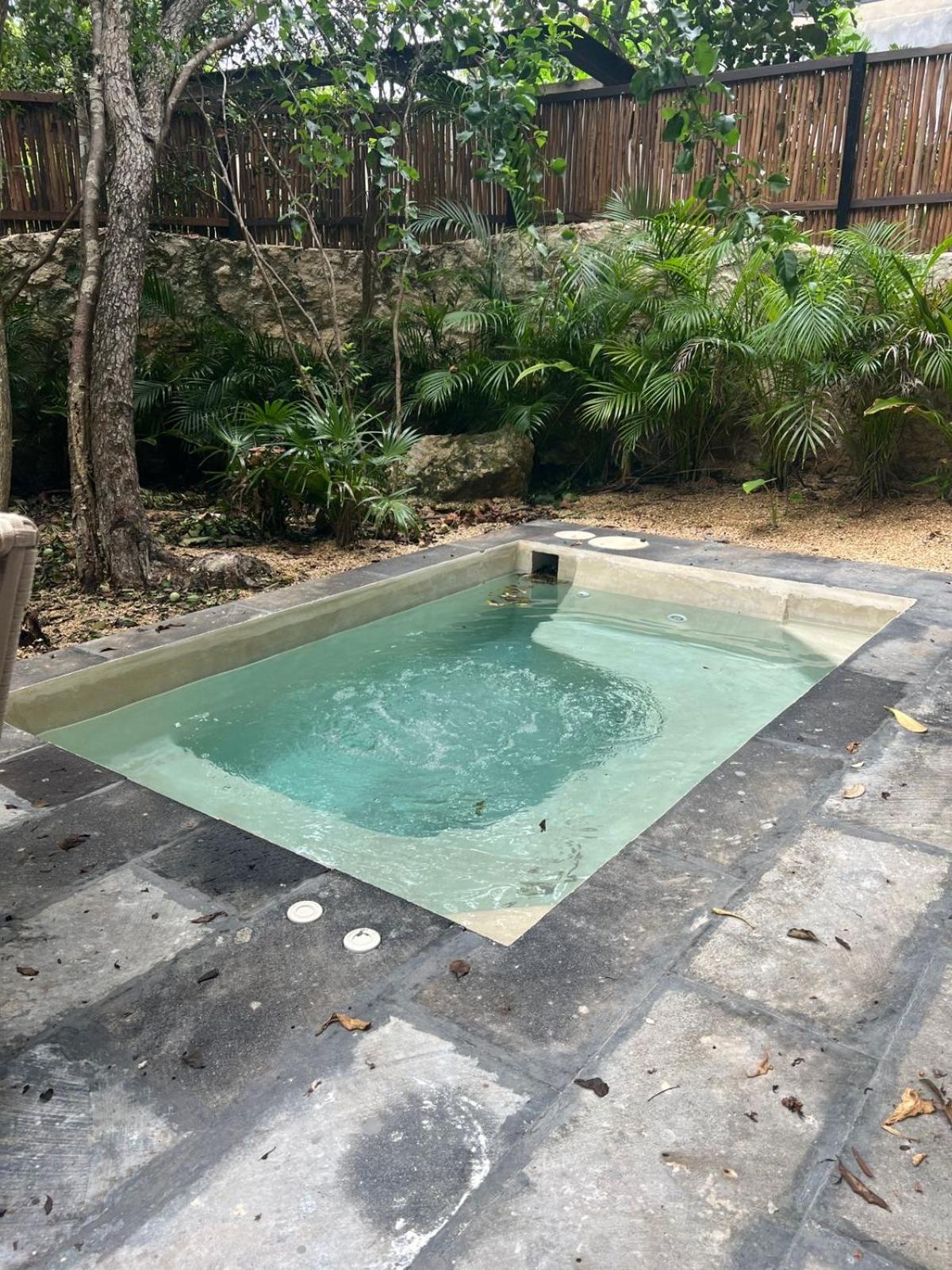 Lovely 2bedroom Serviced + Pool & Garden Apartment Tulum