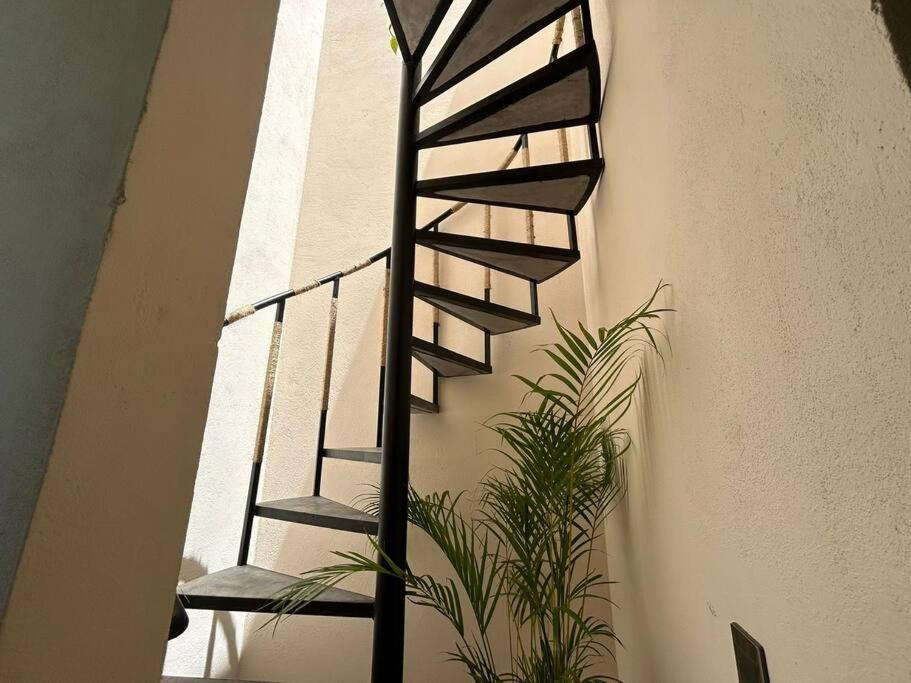 Apartamento Oasis By Maxia Apartment