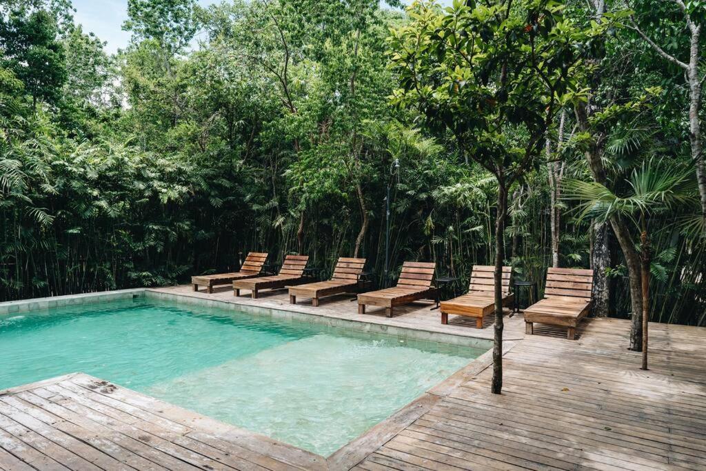 Luxury Villa, Club - Jungle View - Sahara Bleu *