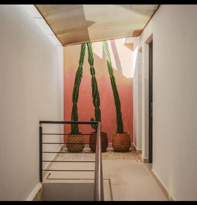 Apartment Majestic The Ultimate Luxury Oasis With Pool Tulum