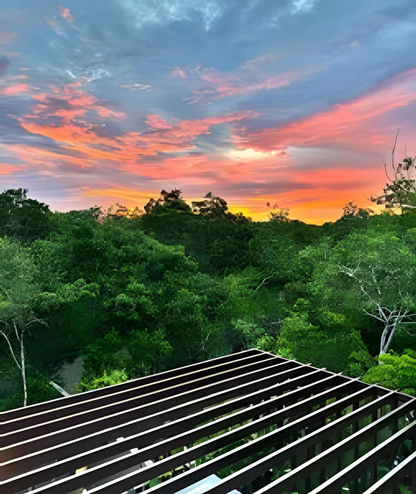 Jungle Retreat Selva Pixan Villa *
