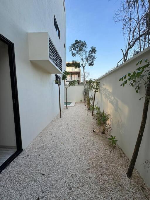 Botanics By Endemico Laureles