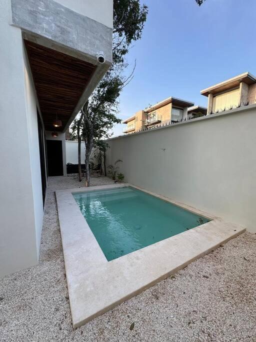 Botanics By Endemico Laureles *