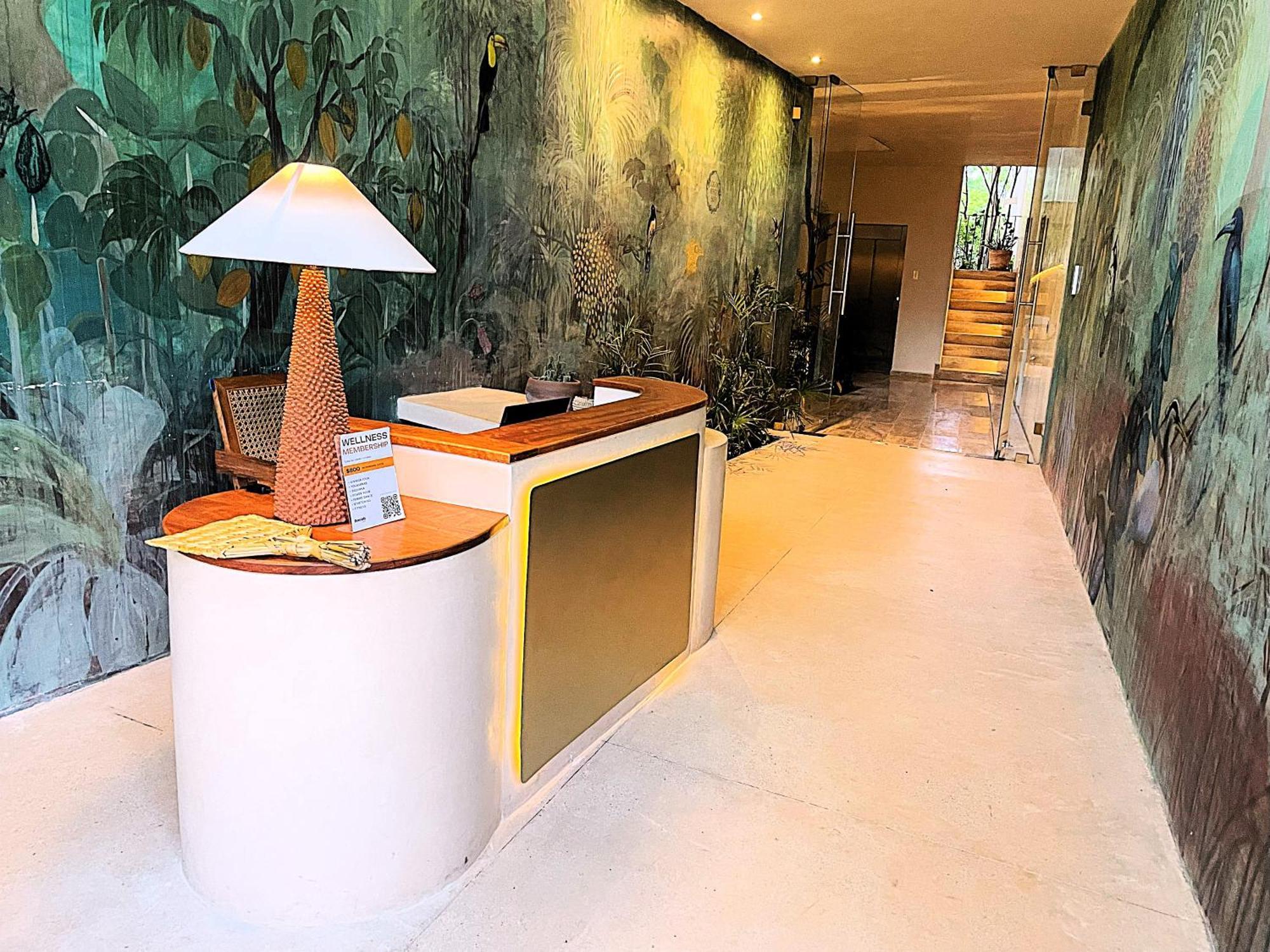 Apartment Departamento Mexico Contemporaneo *