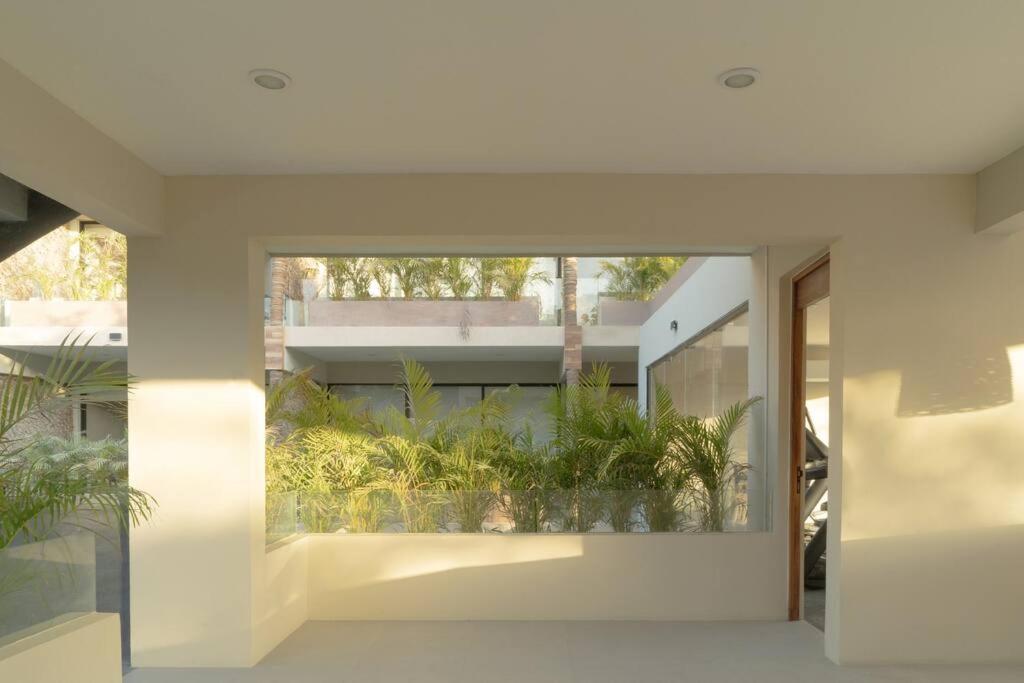 Luxury In With Terrace Apartment