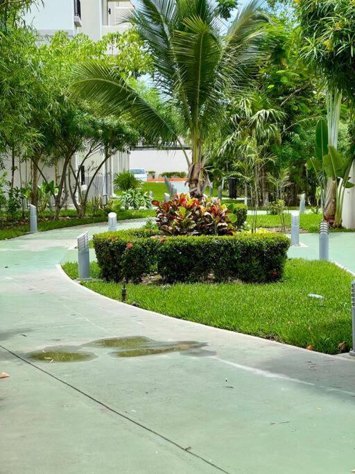 Hermoso Y Amplio Departamento 5 En Ir23 * Tulum