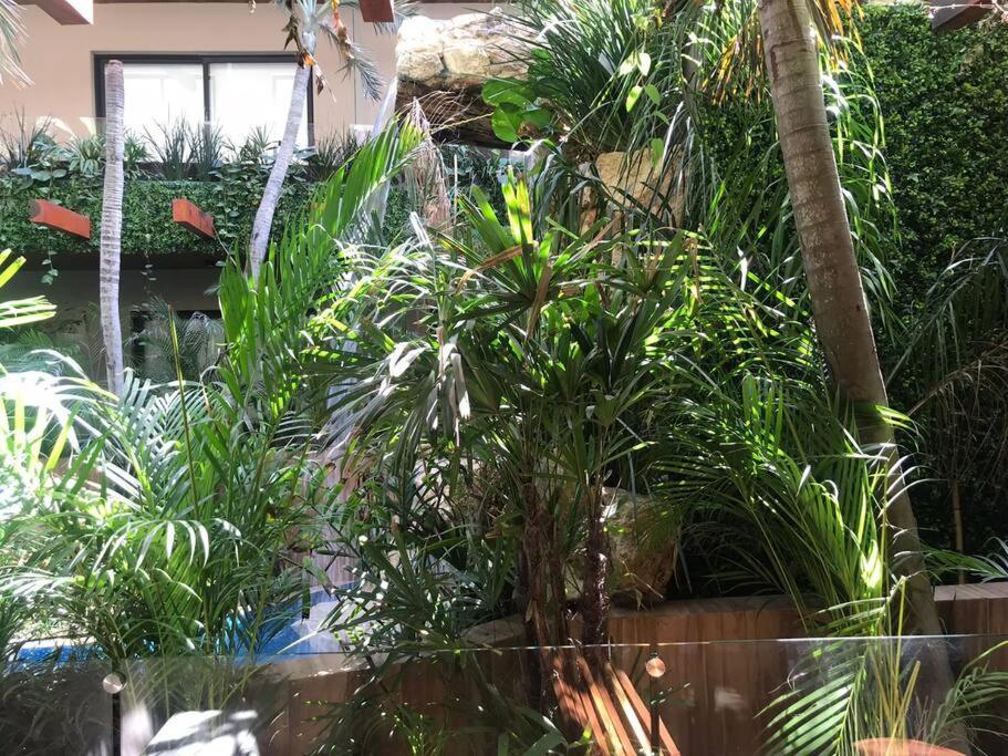 Apartamento 012 Modern Luxurious Wifi 100 Mb *