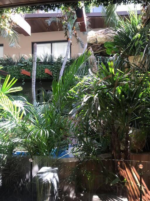 Apartment 218 Stylish Delux Fast Wifi Tulum