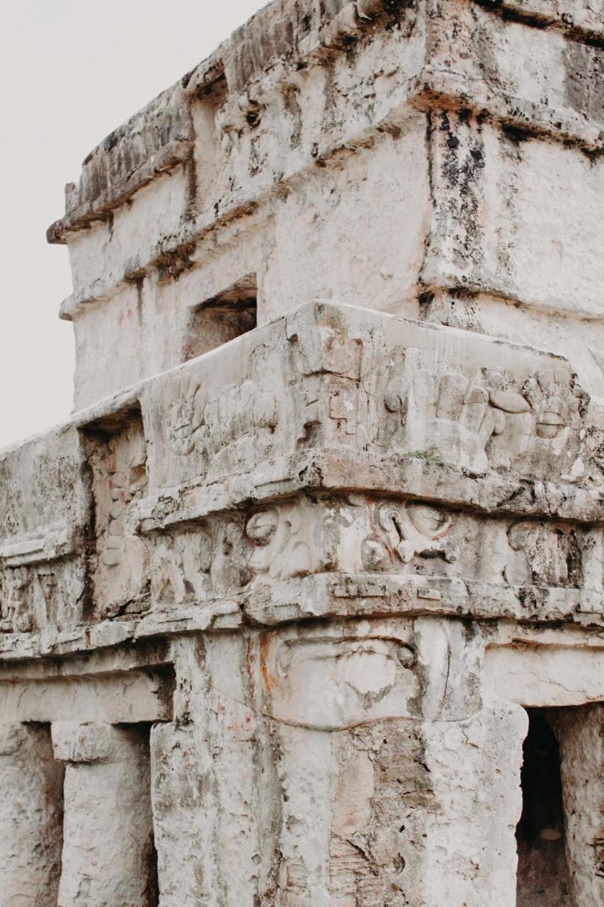 Beautiful With Rooftop Pool, Fitness Area, & Balcony Tulum