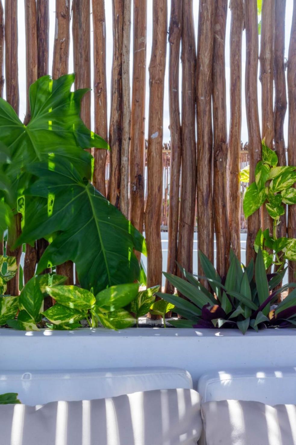 Pent House De Lujo Con Roof Privado Rodeado De Naturaleza