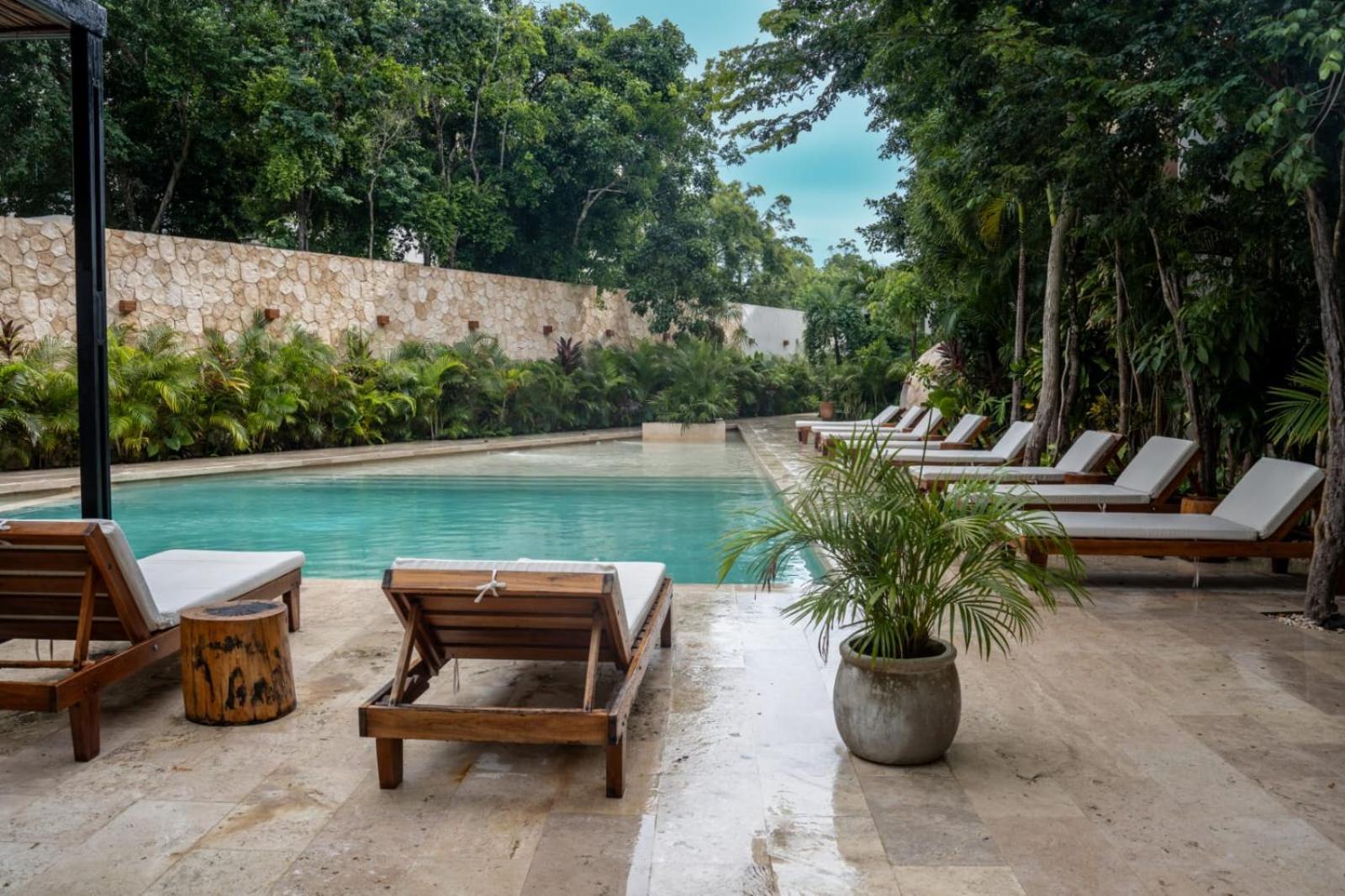 Pent House De Lujo Con Roof Privado Rodeado De Naturaleza *