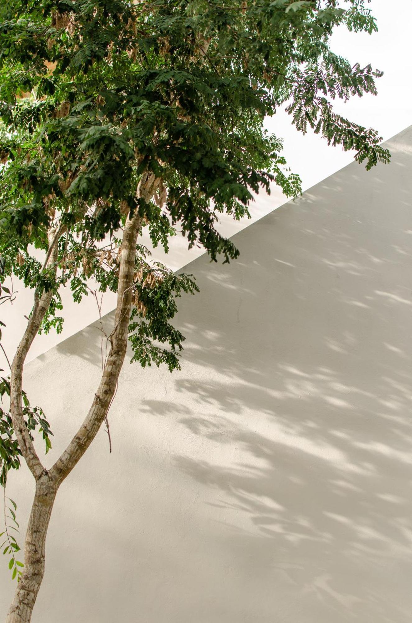 Nomad Humans Coliving