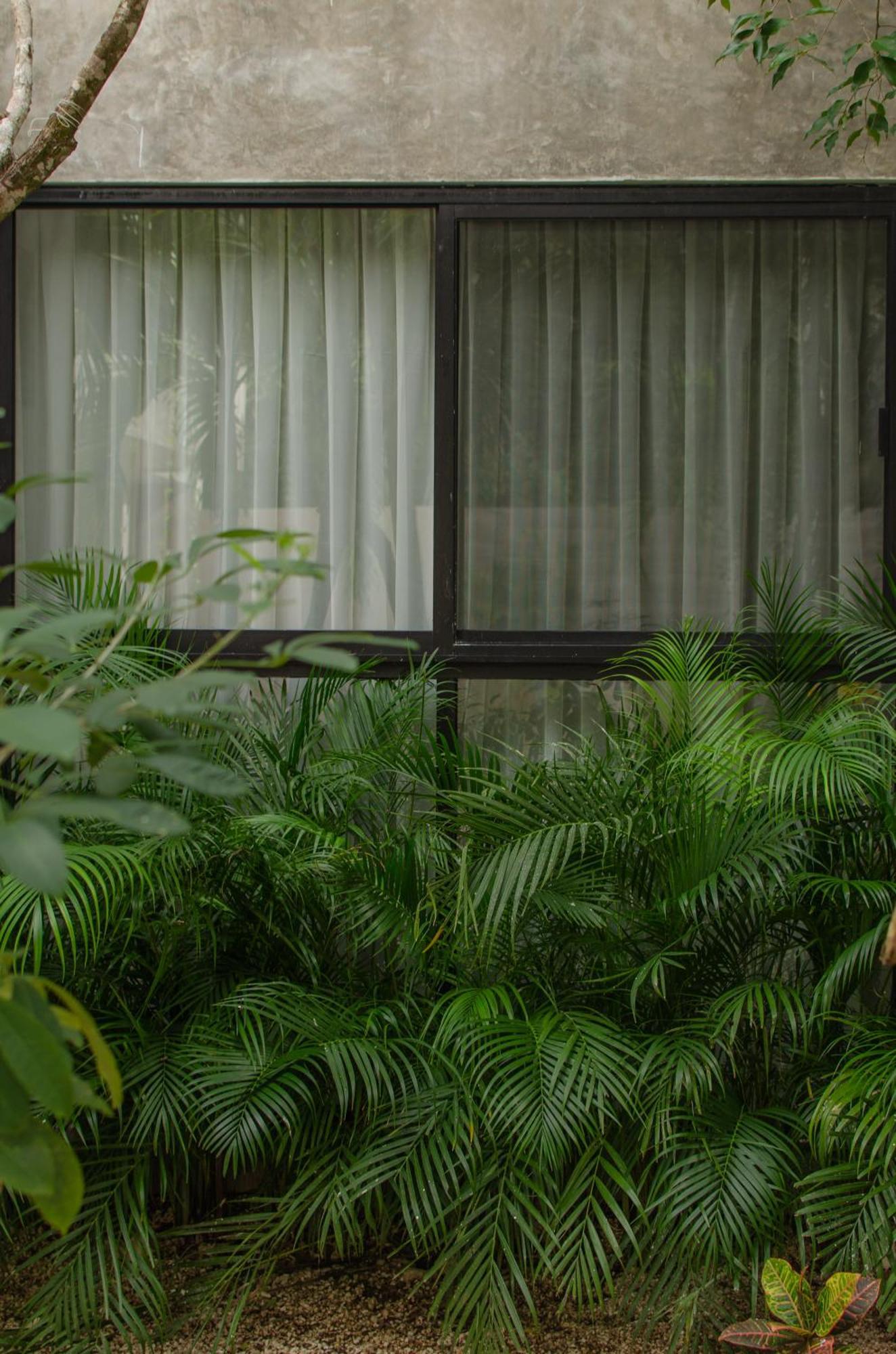 Nomad Humans Coliving Apartment *