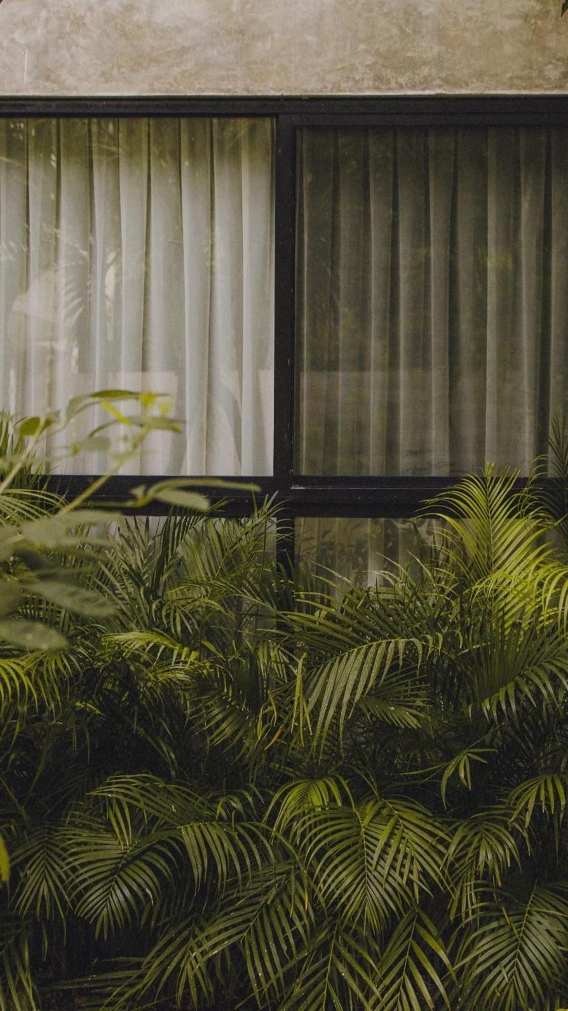 Nomad Humans Coliving