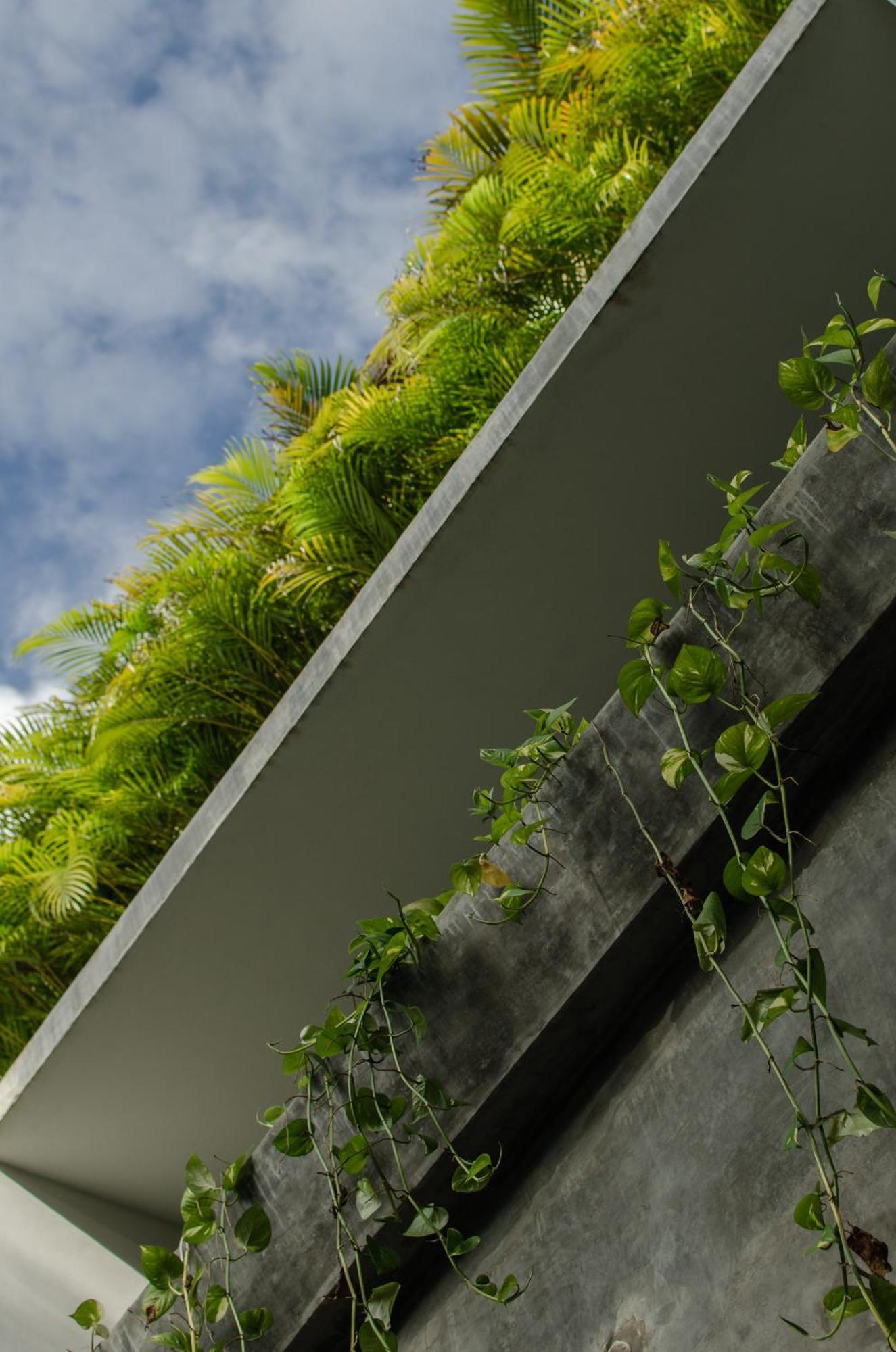 Nomad Humans Coliving Apartment *