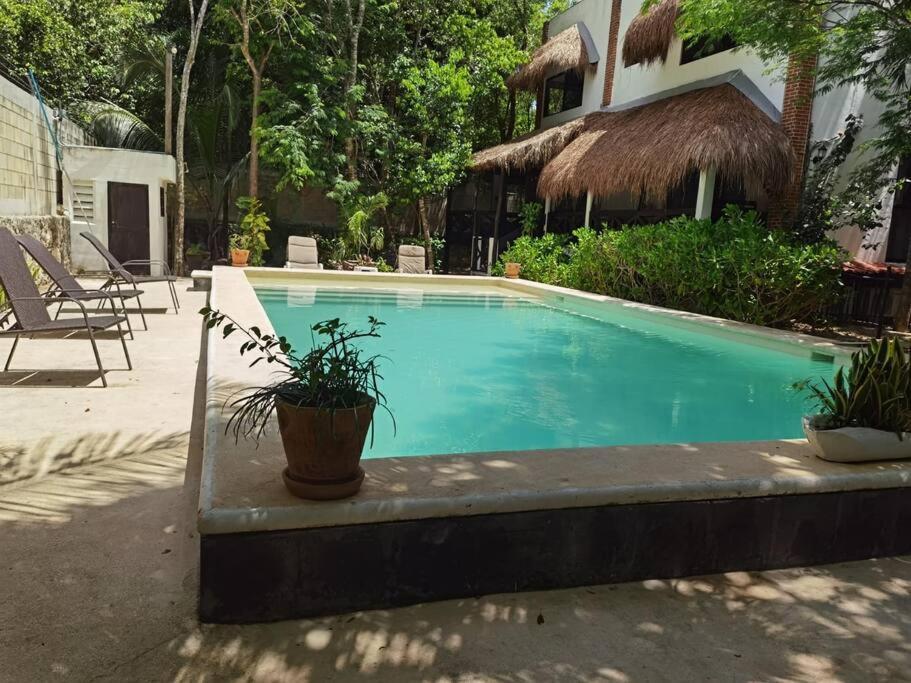 Nicte 12 Guest 4brd Villa