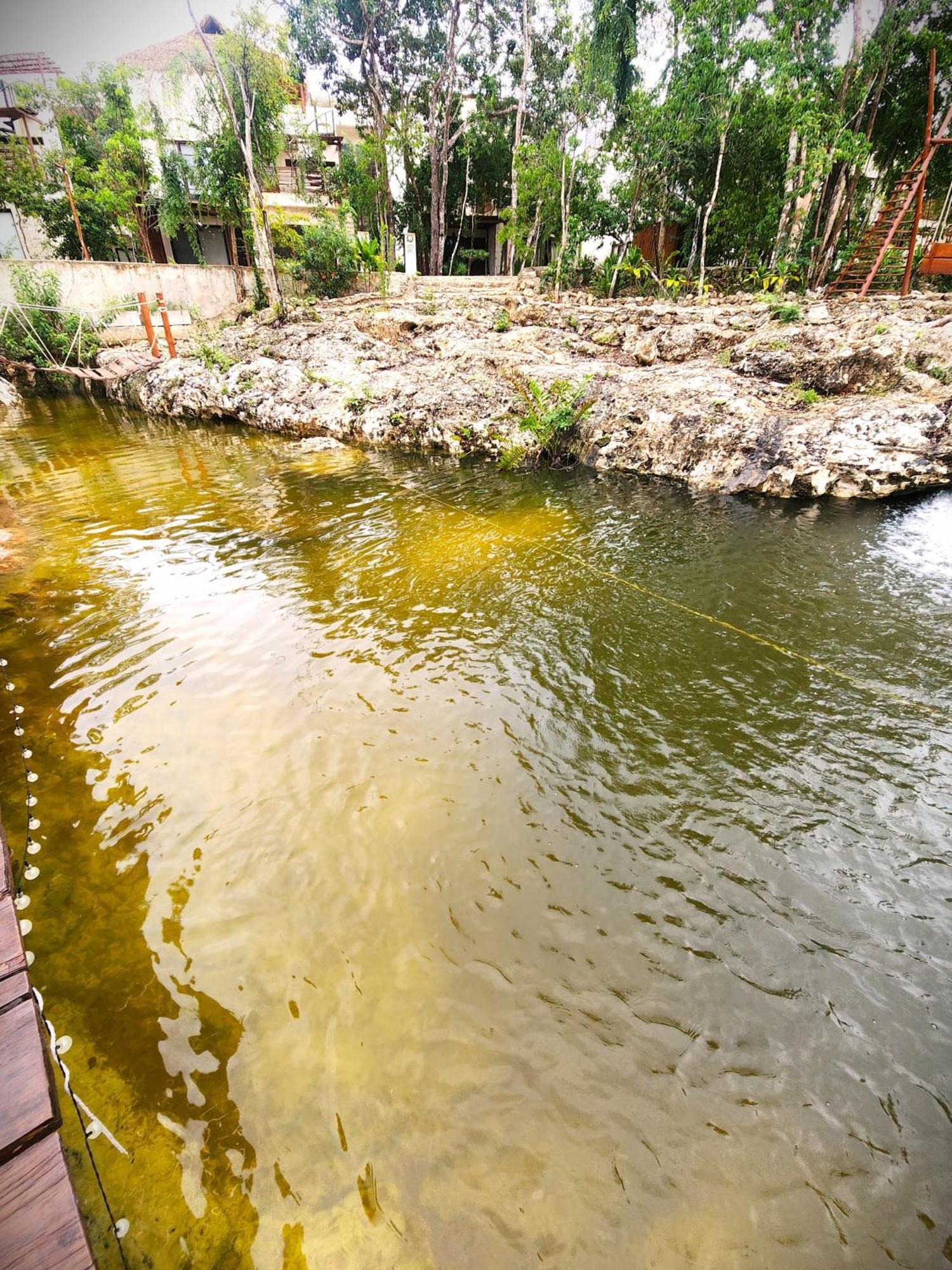 Selva Norte - - 3 Bdr - Roof & Jacuzzi