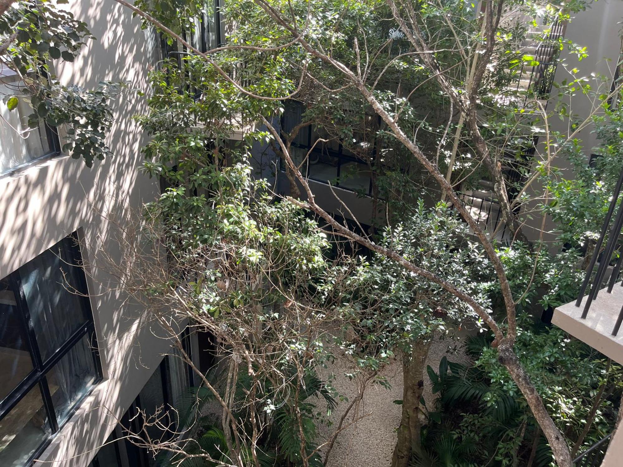 Boho Beautiful Special Fee For Bardo Daypass Apartment Tulum