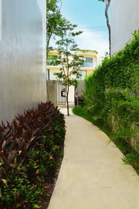 Melaan Jungle Retreat For Adventurers And Private Plunge Pool Apartment