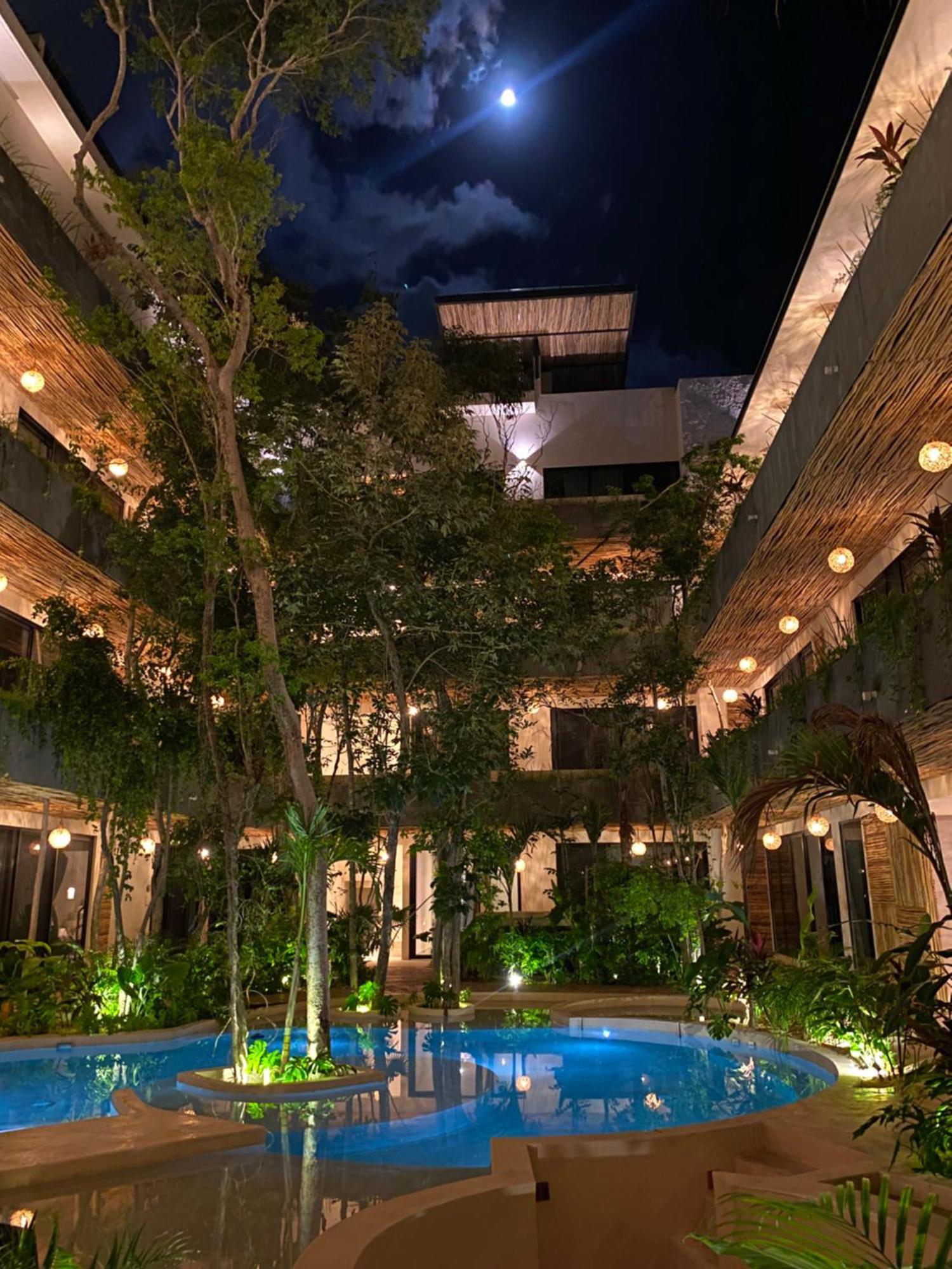 New Large Luxurious 1 Bedroom, 1 Bathroom In Apartamento *