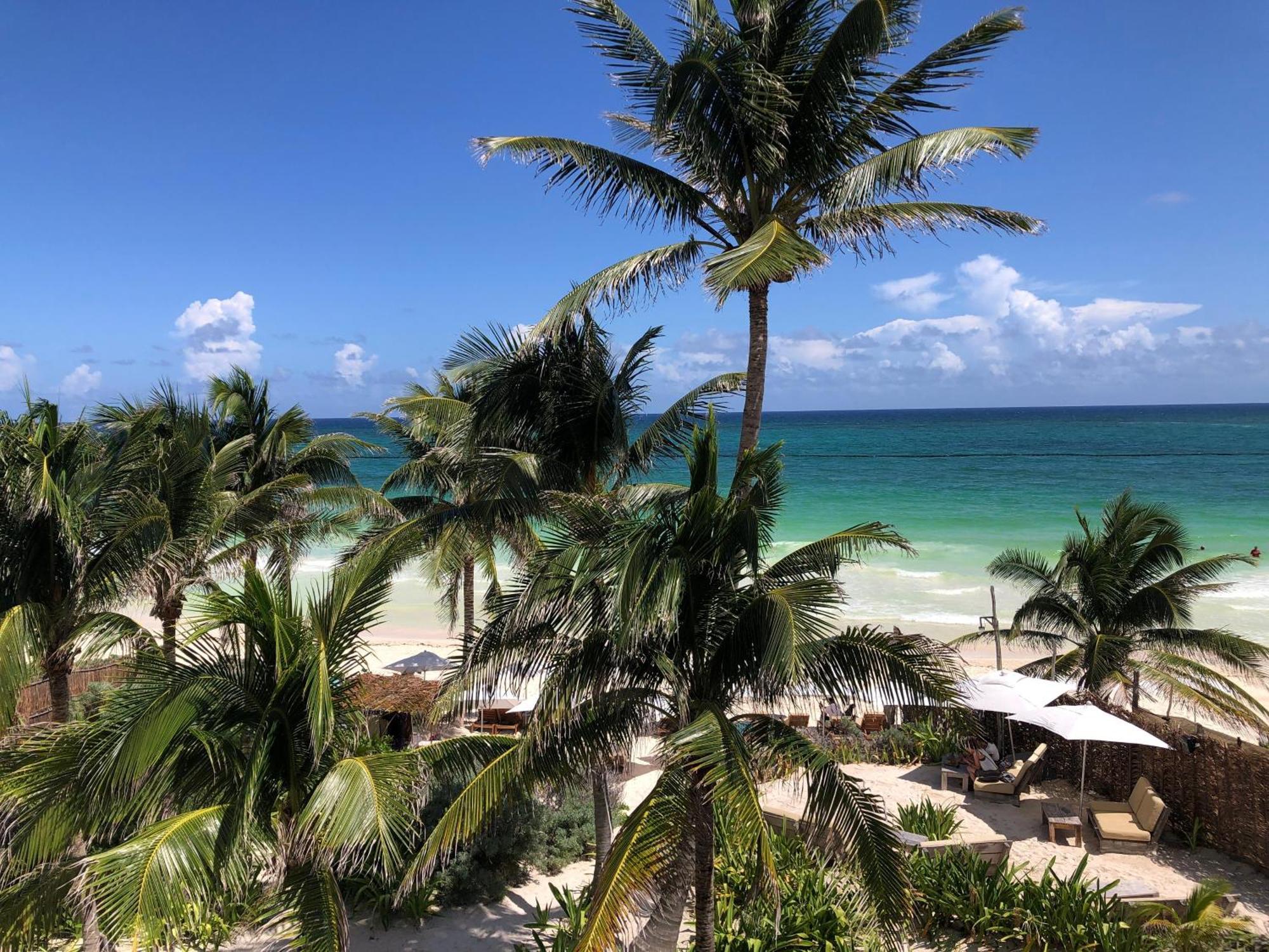 Luxury Poolside Gem With Pool, Jacuzzi & Gym * Tulum